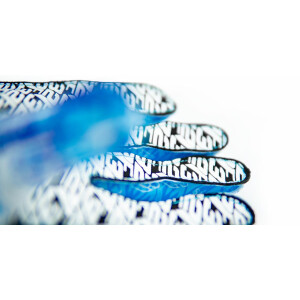 32five PUSH YOUR LIMIT Simracing Handschuhe blue-white XL