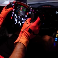 Moradness Gloves - Skyline M