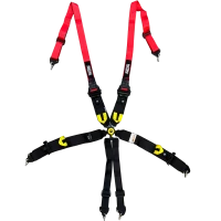 SRS 6 Punkt Gurt mit Schnellverschluss