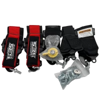 SRS 6 Punkt Gurt mit Schnellverschluss Rot