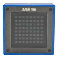 Densu Flag PRO Blau
