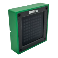 Densu Flag PRO Grün