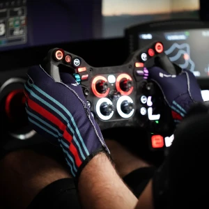 Moradness - Aura Pro Martini Gloves L